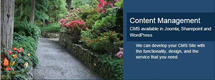 Responsive Web Design