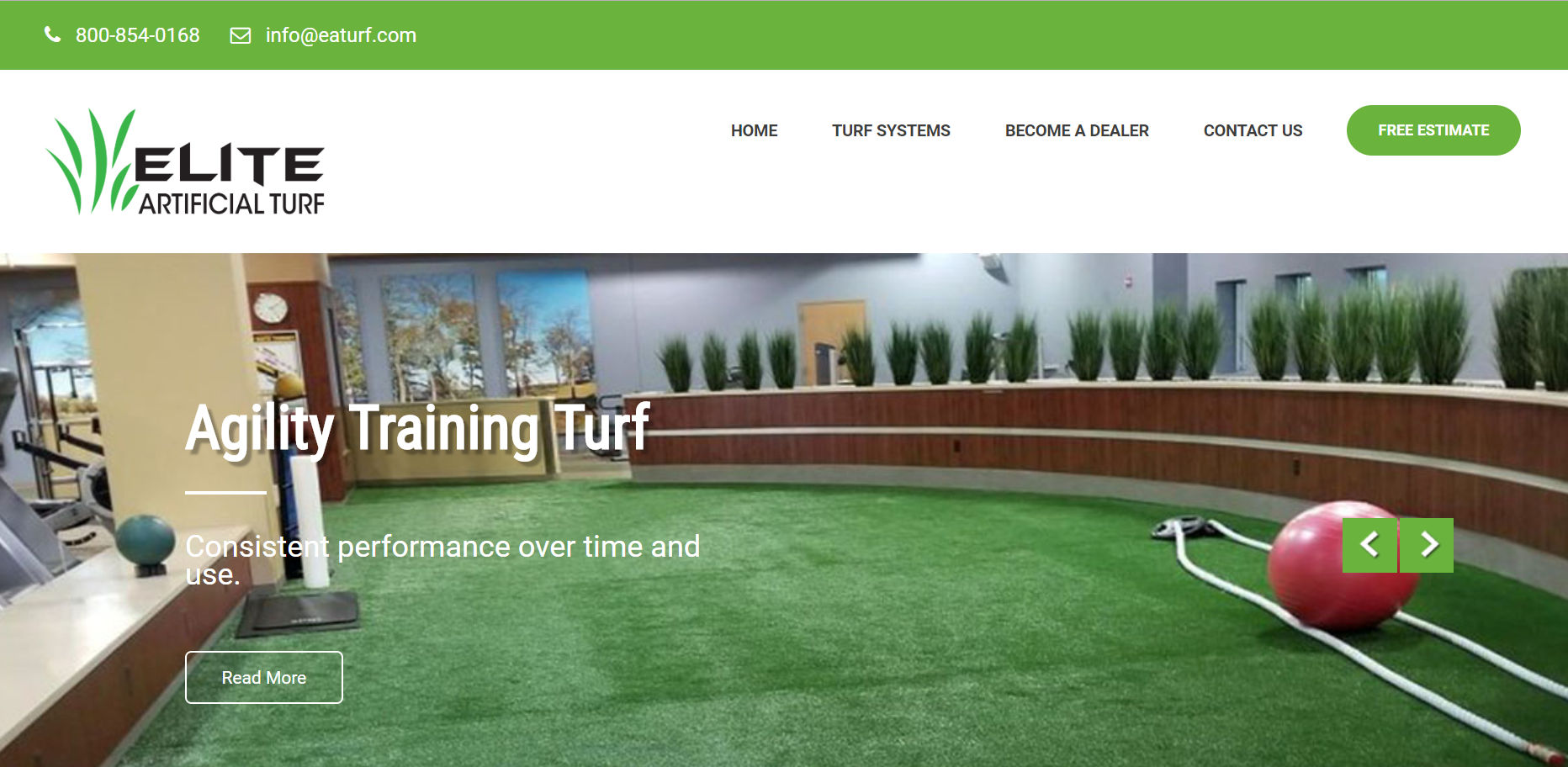 Elite Artificial Turf